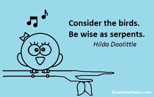 Read more Bird Quotes.